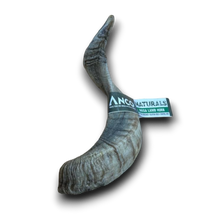 Load image into Gallery viewer, Anco Naturals Mega Lamb Horn
