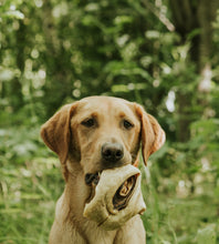 Load image into Gallery viewer, Anco Naturals Beef Ear Roots 100g
