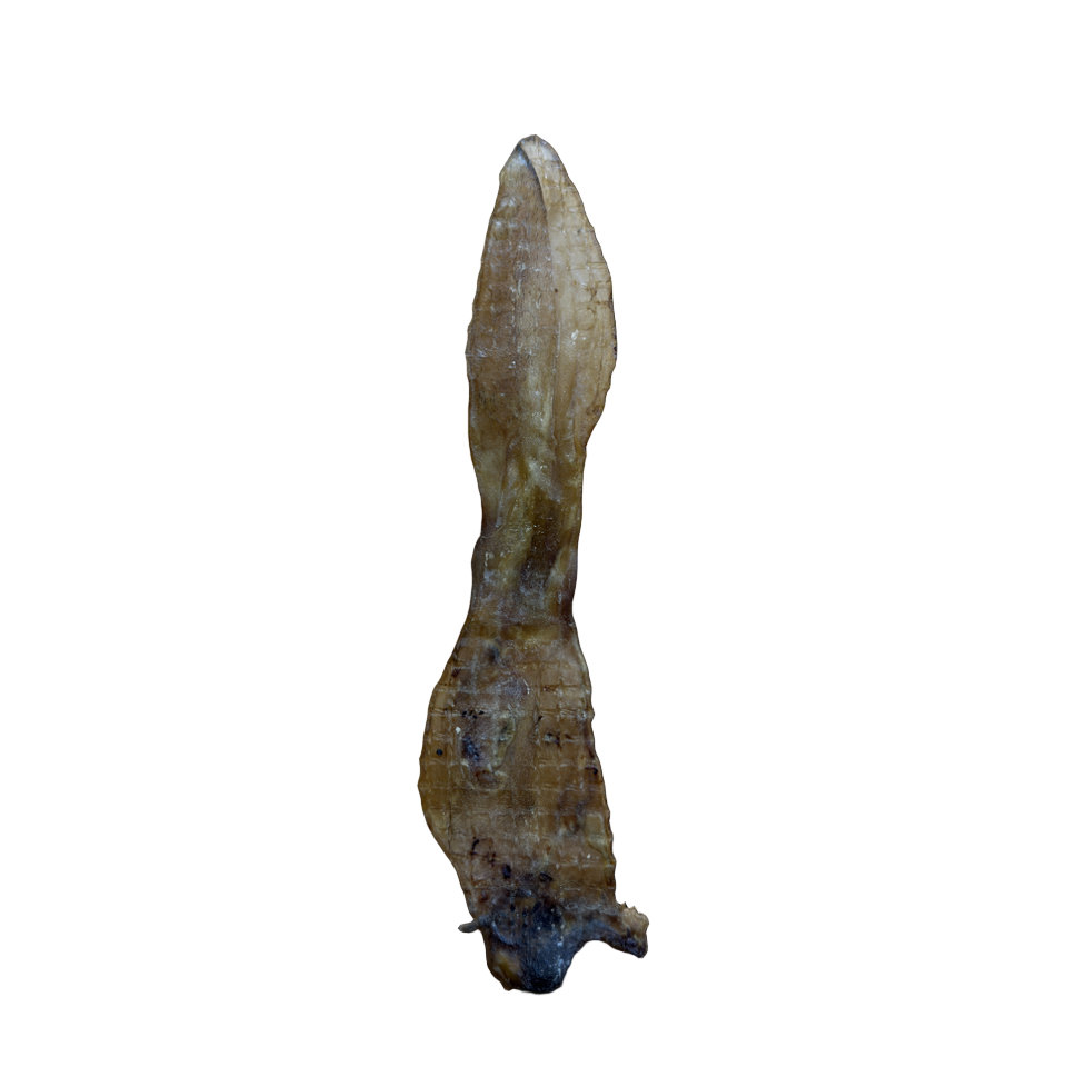 Anco Naturals Rabbit Ear