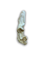 Load image into Gallery viewer, Anco Puffed Rabbit Ear
