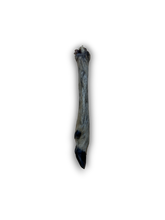 Load image into Gallery viewer, Anco Naturals Hairy Roe Deer Leg
