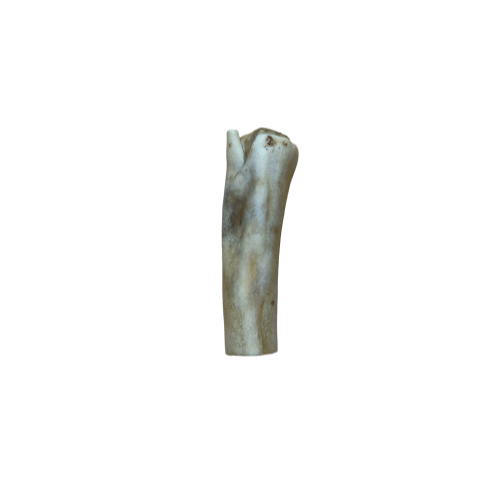 Anco Naturals Jumbo Beef Tail