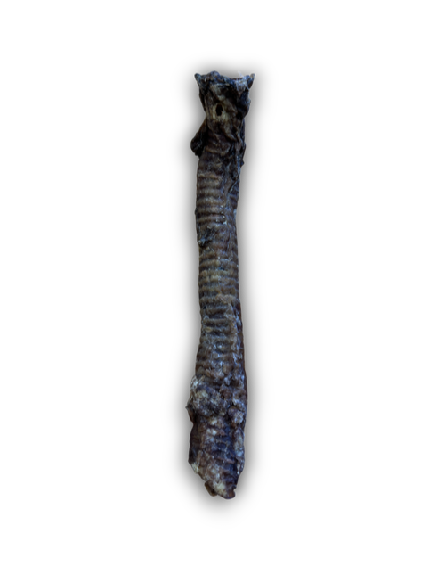 Anco Naturals Goat Tube