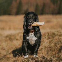 Load image into Gallery viewer, Anco Naturals Bully Roll Medium
