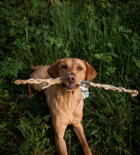 Load image into Gallery viewer, Dog holding a rope toy in its mouth outdoors
