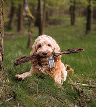 Load image into Gallery viewer, Anco Naturals Hairy Giant Goat Stick
