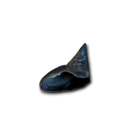 Load image into Gallery viewer, Anco Naturals Buffalo Hooves
