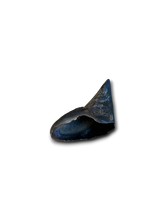 Load image into Gallery viewer, Anco Naturals Buffalo Hooves
