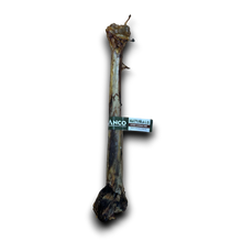 Load image into Gallery viewer, Anco Naturals Ostrich Caveman Bone
