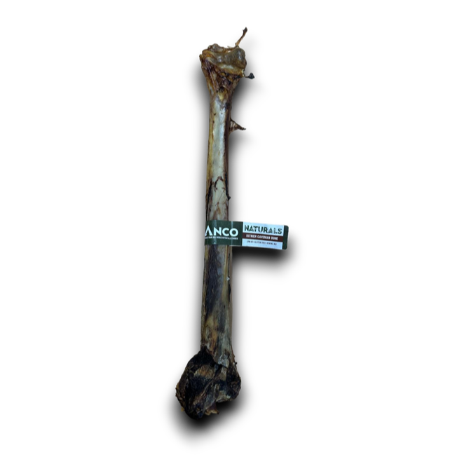 Anco Naturals Ostrich Caveman Bone