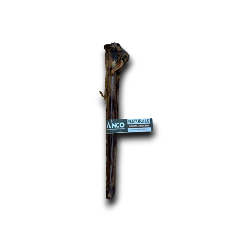 Anco Naturals Ostrich Metatarsus Bone