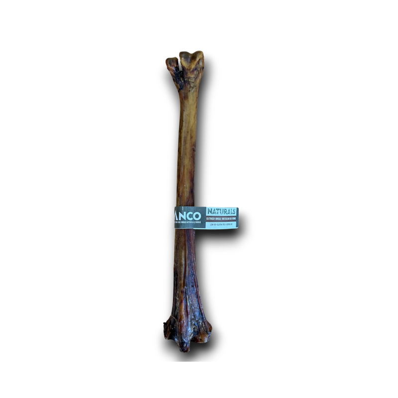 Anco Naturals Ostrich Whole Metatarsus Bone