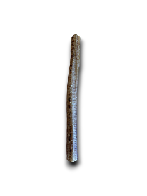 Anco Naturals Ostrich Tube