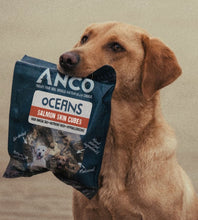 Load image into Gallery viewer, Anco Oceans Salmon Skin Cubes 100g
