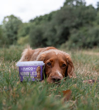 Load image into Gallery viewer, Anco Nibbles Turkey Treats 300g
