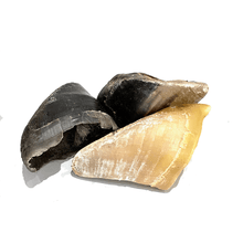 Load image into Gallery viewer, Empty Hooves - Single
