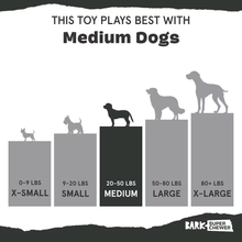 Load image into Gallery viewer, BARK Wild Boris Dog Toy
