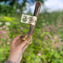 Load image into Gallery viewer, Hand holding a dog chew toy with a label against a natural background
