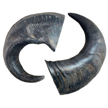 Load image into Gallery viewer, Antos Nova Paddock Farm Buffalo Horn Extra Large
