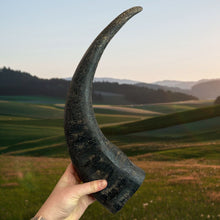 Load image into Gallery viewer, Antos Nova Paddock Farm Buffalo Horn Extra Large
