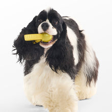 Load image into Gallery viewer, Bark Harry Potter The Golden Snitch Dog Toy

