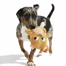 Load image into Gallery viewer, A small black-and-white spotted dog standing on a white studio background and holding a plush tan stuffed toy in its mouth.
