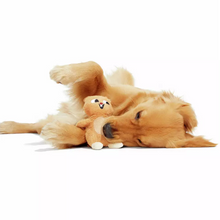 Load image into Gallery viewer, A golden retriever puppy lying on its back and playfully biting a small beige teddy bear, isolated on a solid white background.

