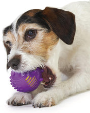 Load image into Gallery viewer, Petstages Gummy Plush Hedgehog Md
