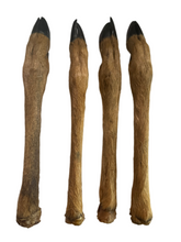 Load image into Gallery viewer, Anco Naturals Hairy Roe Deer Leg
