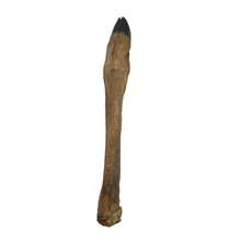 Load image into Gallery viewer, Anco Naturals Hairy Roe Deer Leg
