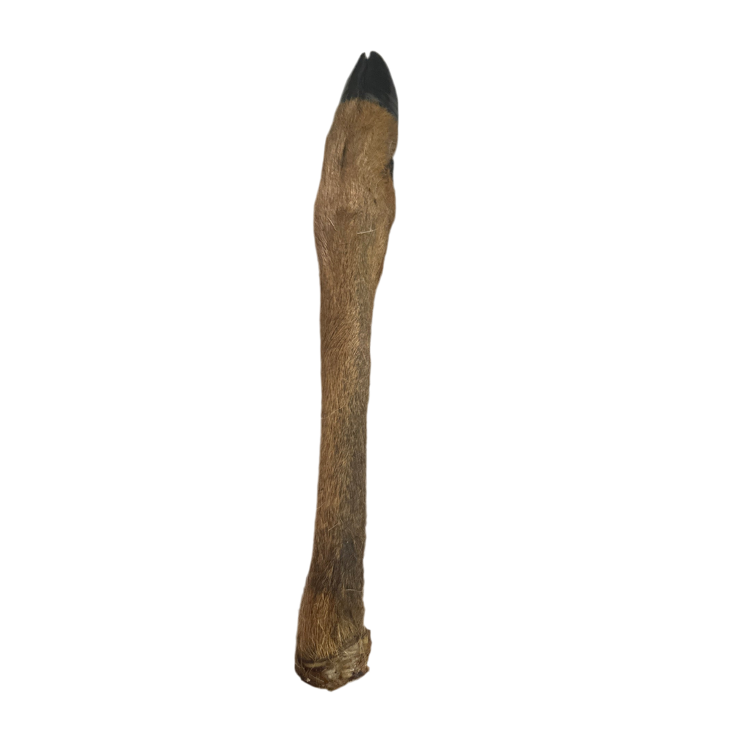 Anco Naturals Hairy Roe Deer Leg