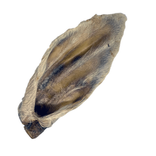Load image into Gallery viewer, Anco Hairy Lamb Ear
