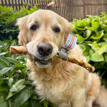 Load image into Gallery viewer, Dog holding a treat in its mouth with greenery in the background
