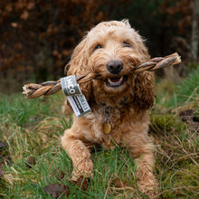 Load image into Gallery viewer, Dog holding a Anco Naturals Buffalo Biltong Braid with a tag in its mouth outdoors
