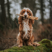Load image into Gallery viewer, Dog holding a rope toy in a forest setting
