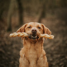 Load image into Gallery viewer, Dog holding a rope toy in its mouth with a blurred natural background
