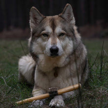Load image into Gallery viewer, Wolf lying on grass with an axe beside it in a forest setting
