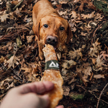 Load image into Gallery viewer, Dog holding a treat in its mouth amidst fallen leaves
