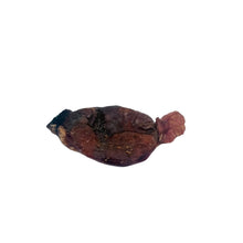Load image into Gallery viewer, Small brown and black object on a white background
