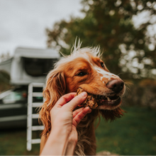 Load image into Gallery viewer, Dog being fed a treat outdoors with a blurred background

