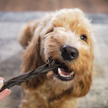 Load image into Gallery viewer, Dog chewing on a treat held by a person outdoors
