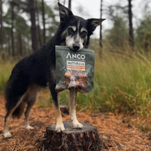 Load image into Gallery viewer, A black and white dog standing on a tree stump in a forest holding a bag of ANCO Naturals dog treats in its mouth.
