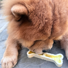 Load image into Gallery viewer, A fluffy brown dog eating a bone-shaped dog treat on a gray paved surface.

