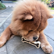 Load image into Gallery viewer, A fluffy brown dog lying on gray stone pavement outdoors, licking or biting a bone-shaped dog toy.
