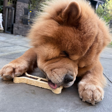 Load image into Gallery viewer, A fluffy brown Chow Chow dog lying on a stone patio and chewing on a beige bone-shaped treat.

