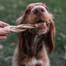 Load image into Gallery viewer, Dog chewing on a braided Anco Naturals Goat Braids Medium held by a person outdoors.
