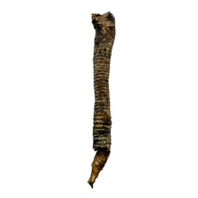 Load image into Gallery viewer, Brown Anco Naturals Goat Tube on a light gray background
