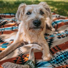 Load image into Gallery viewer, Dog sitting on a patterned blanket outdoors
