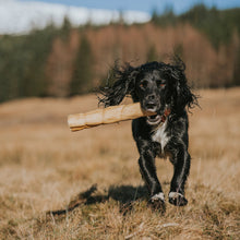 Load image into Gallery viewer, Dog running with a stick in a field with trees and mountains in the background
