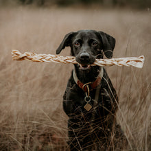 Load image into Gallery viewer, dog holding Anco Naturals Mega Buffalo Braid 50cm in his mouth
